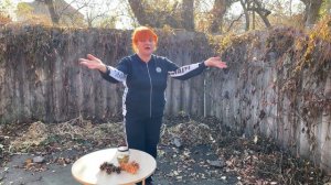 Осветление шишек. Как отбелить шишки. Обесцвечивание сосновых шишек. Осветление сухоцветов