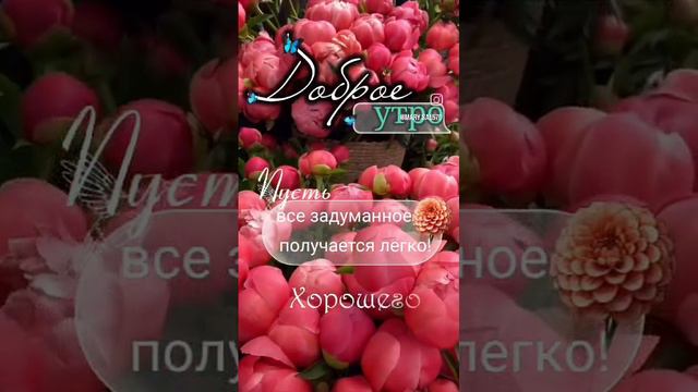 VID-20240823-WA0000.mp4 смотреть онлайн