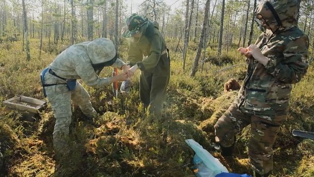 Видеоруководство по полевым изысканиям на болотах (ВИП ГЗ)