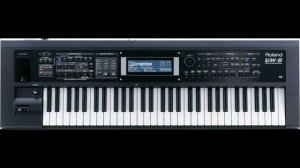 Roland Gw 8 Fanatic
