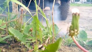 Звук глушителя от ГАЗ-53 (Grand Cherokee ZJ)