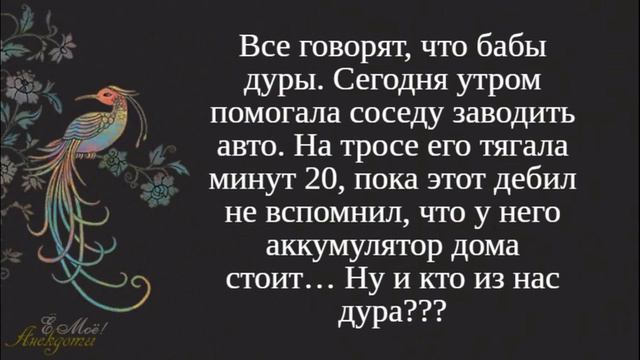 Смешные анекдоты. Хочу на День рождения тампон! смотреть онлайн