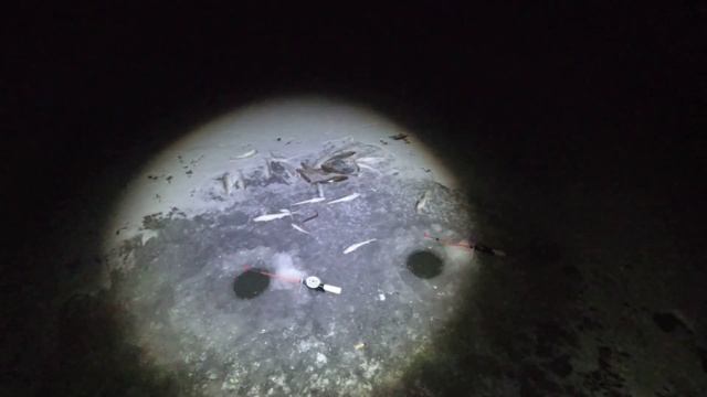 Отличный клёв наваги на булера. Речка МАЙХА смотреть онлайн