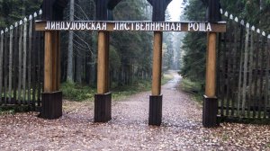 Линдуловская роща