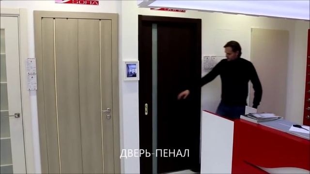 Софья Двери Раздвижные