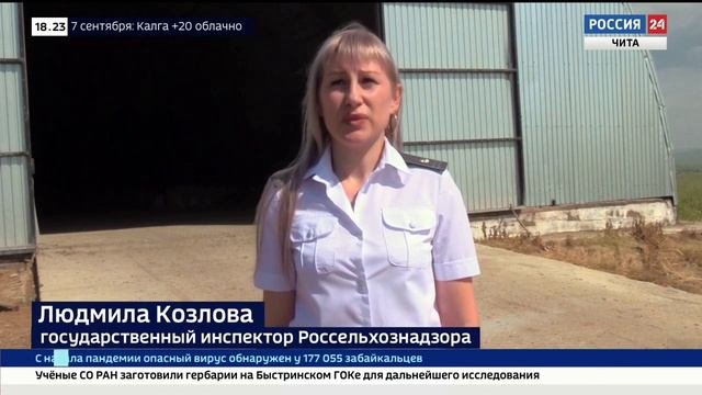 Какие условия в зернохранилищах должны быть соблюдены рассказывают специалисты Россельхознадзора