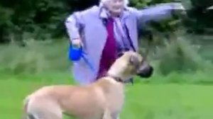 Бабка улетела за собакой