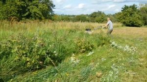 МКМ-3 Пахарь и косилка Заря