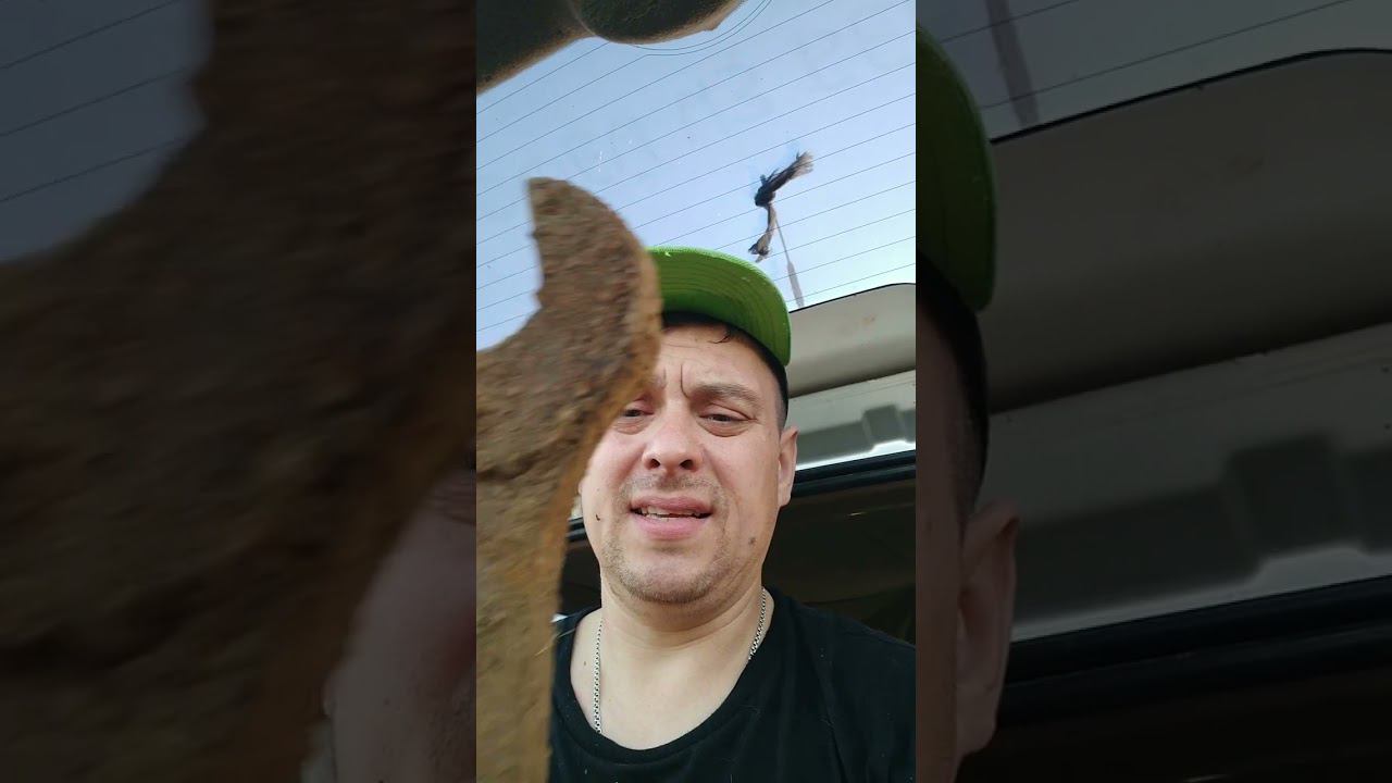 маталлокоп!!! лучшее в этом мире!!! смотреть онлайн