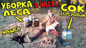 10 литров берёзового сока. Убираю мусор из леса. Жарю сосиски