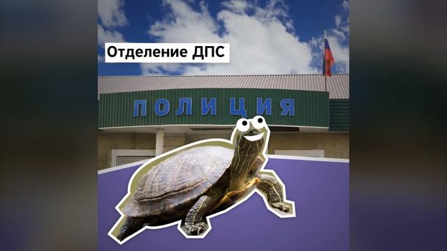 Если вашу машину эвакуируют