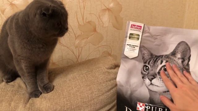 Как МЕНЯТЬ корм Коту | Смена корма - Как перевести кошку на другой корм? смотреть онлайн