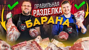 РАЗДЕЛКА И ОБВАЛКА ЦЕЛОЙ ТУШИ БАРАНА
