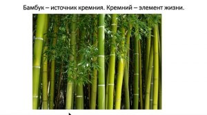 И. Бессонова -  "Кремний   Основной Компонент Сохранения Молодости  Активного Долголетия" 2022 11 1