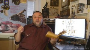 Семья, жена, девственность и красная таблетка