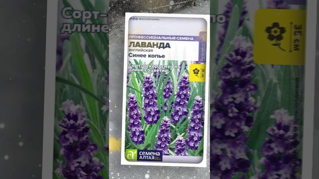 Что можно посеять в декабре на рассаду.