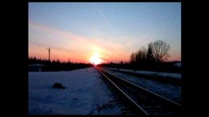 ЖИЗНЬ