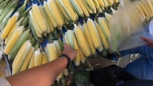 ТУРЦИЯ АНТАЛИЯ 2019 / ИЮЛЬ / ТУРЕЦКИЙ БАЗАР В АНТАЛИИ / КАКИЕ ФРУКТЫ ЕСТЬ В ИЮЛЕ? ДЕШЕВЫЙ БАЗАР