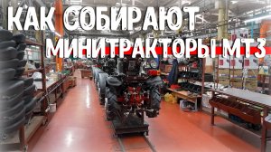 Как производят трактор Беларус-921 и мотоблоки на САЗе Не тракторист, а оператор за рулём