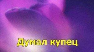 Ехал на ярмарку Ванька купец ( караоке )