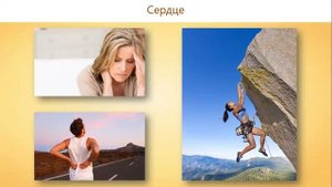 Движение крови и лимфы по сосудам