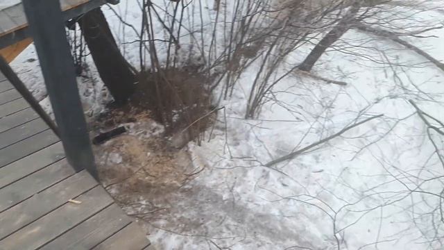 Домик на дереве заканчиваем отделочные работы???.