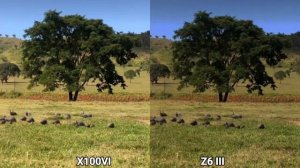 Fujiflim X100VI vs Nikon Z6 III Camera test