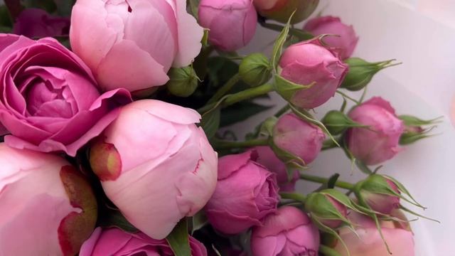 Букет с пионами и кустовой розой Expression смотреть онлайн