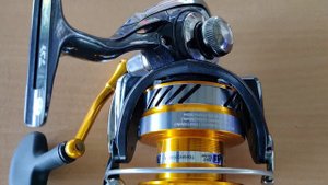 Spinning Reel Daiwa Revros LT 6000 H for Fishing
