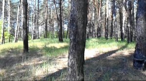 №35.  Поиск с АСЕ-250 на майские праздники.