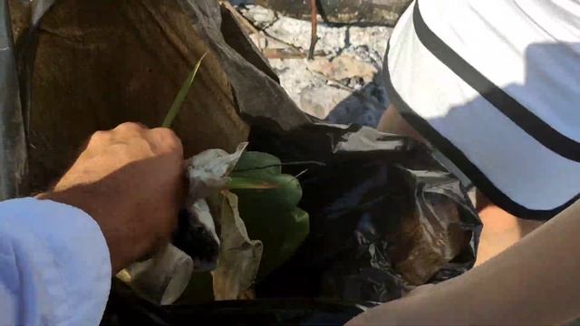 О людях и свиньях, экология, воспитание, так и живём. смотреть онлайн