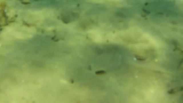 Gr boat1 смотреть онлайн