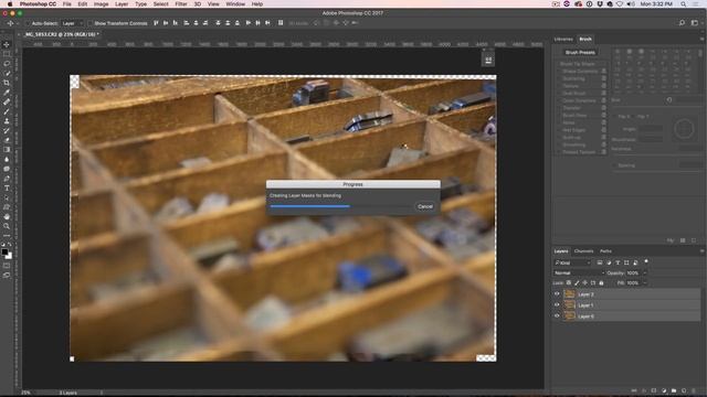 FOCUS STACKING in PHOTOSHOP to make everything in focus