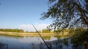 Окунь, Ты где???