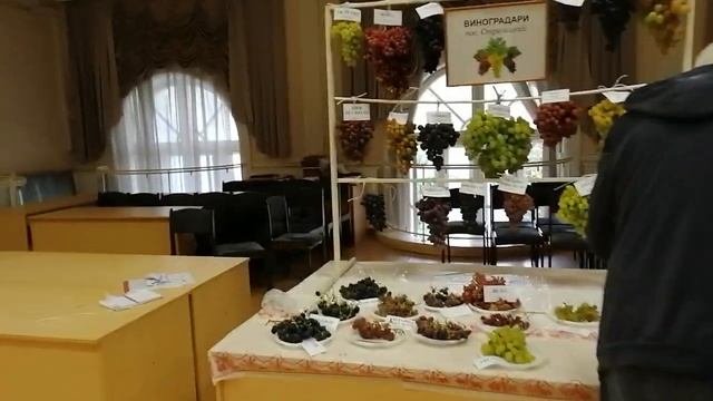 Выставка винограда в Орле