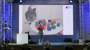 Наш интеллект: всё как у зверей?