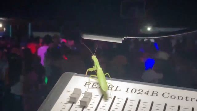 DJ Богомол ? Танец богомола