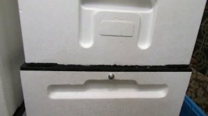 сравнение 6 рамочных ульев - часть 4 - Лысонь ( Вологда ) , Нижегородец , Пеноулик и Биненхаус