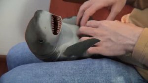 Surprised Baby Shark