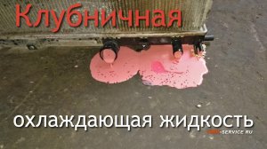 Что произойдет если смешать масло из АКПП и охлаждающую жидкость Часть 1