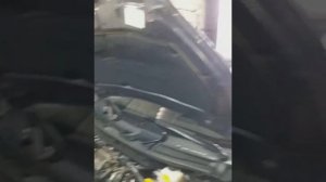 Установка ГБО на тойота приус 2013 года