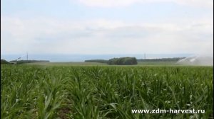 Полив кукурузы Дождевальной машиной ZDM 500/110