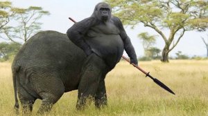 Компактная Шамбала. Вячеслав Котляров.