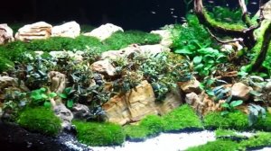 Пескопад в аквариуме