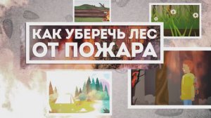 Как уберечь лес от пожара