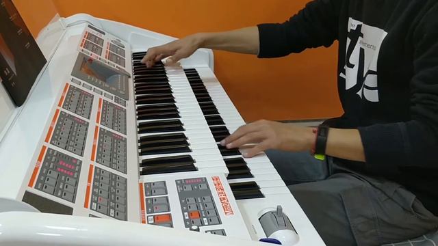 [Electone | Ringway RS1000E] Hedwig's Theme from Harry Potter смотреть онлайн