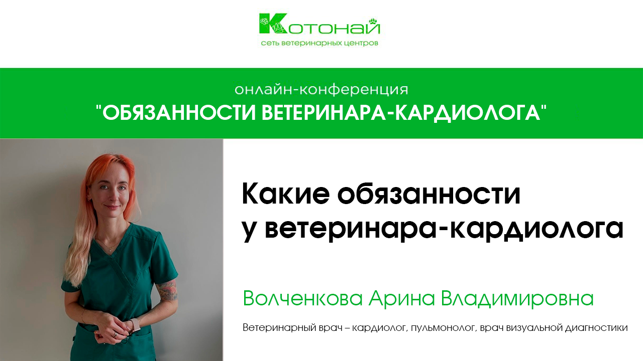 Какие обязанности у ветеринара кардиолога | Волченкова Арина Владимировна