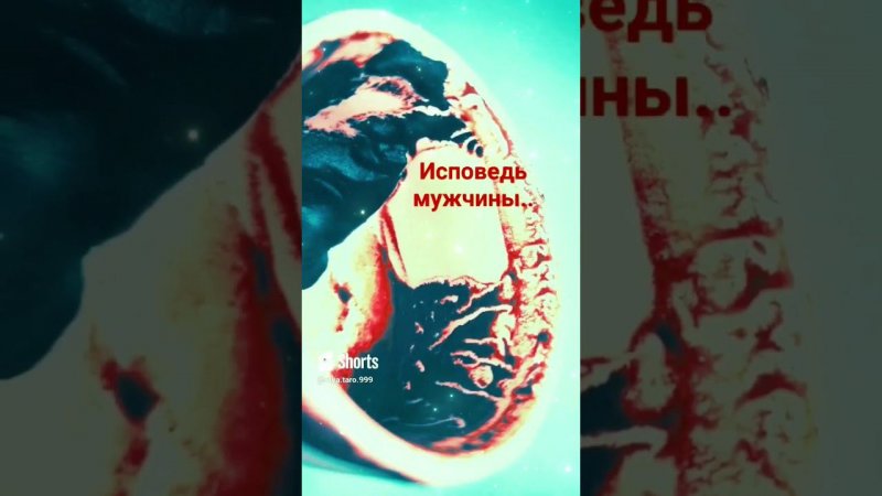 ВАЖНО НЕ ПОМЛУШАТЬ А УСЛЫШАТЬПОЛОН ИСКРЕННОСТИ #youtubeshorts #olgabo666888999 #ytshorts