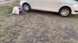 Рыбалка Краснодар. Река 2ая Кочеты. Неожиданный улов!