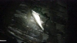 Лов рыбы мини-тралом в гидрокостюме.Инфрокрасная сьёмка.